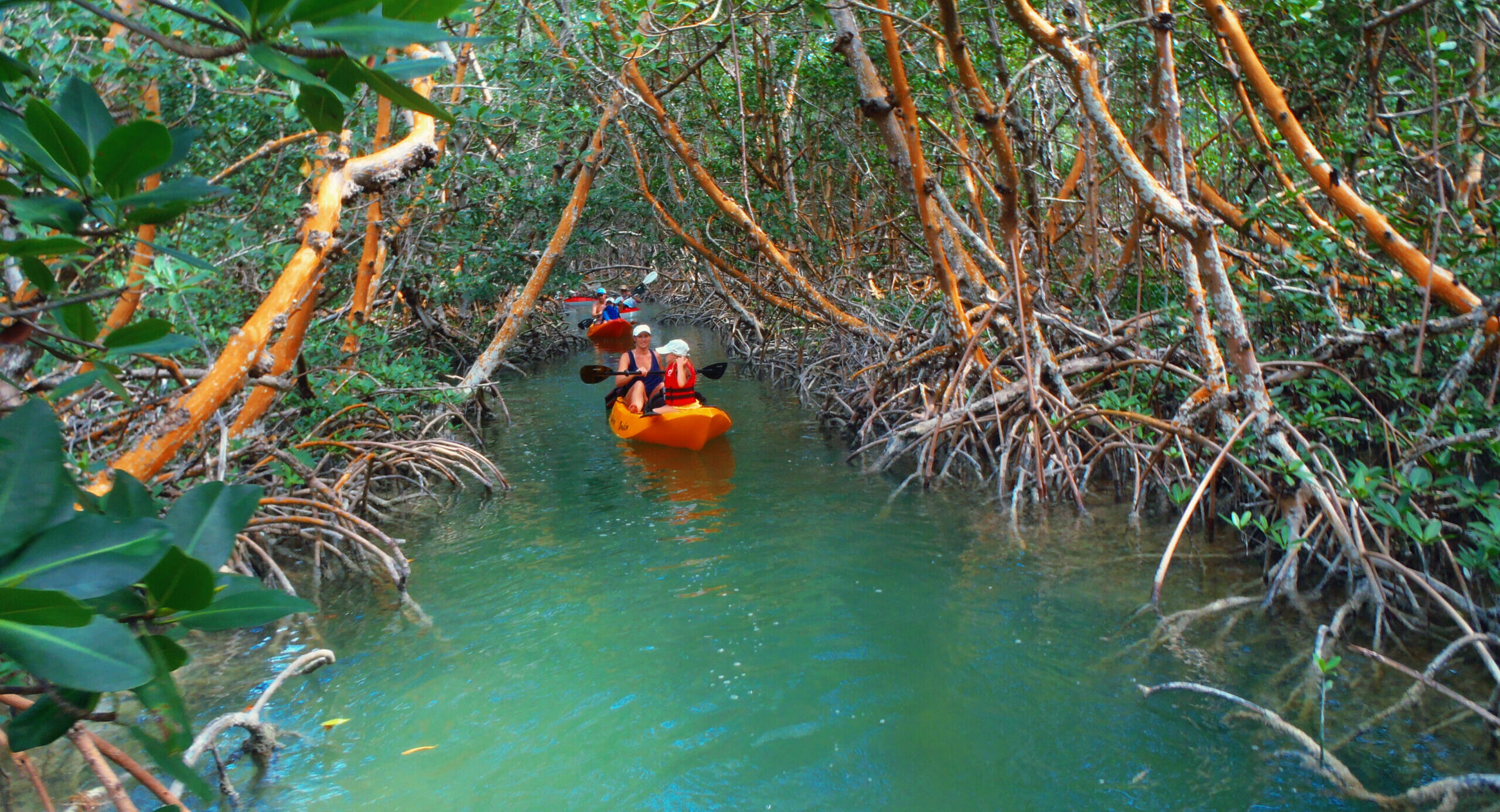 Guide to Paddle Boarding and Kayaking on Siesta Key