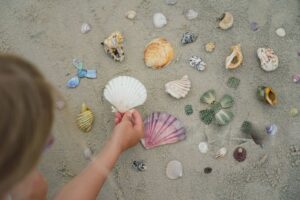 Young girl collecting seashells on the shore at Crescent Beach