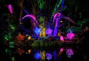 Vibrant pink, blue, and green holiday lights decorate tropical plants and reflect on the water at the Marie Selby Gardens Holiday Light Show.