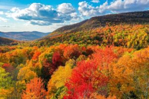 Fall foliage covering the Green Mountains in Vermont with vibrant autumn colors