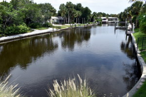 Waterfront residential canal on Siesta Key lined with palm trees, private docks, and homes with boats moored along calm water