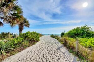 Sandy beach access path leading to Siesta Key Beach with palm trees, greenery, and ocean view under a sunny sky