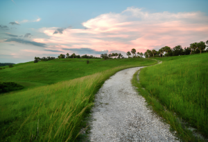 Walking trail winding through the green hills of Celery Fields in Sarasota, Florida, beneath a colorful sunset sky.