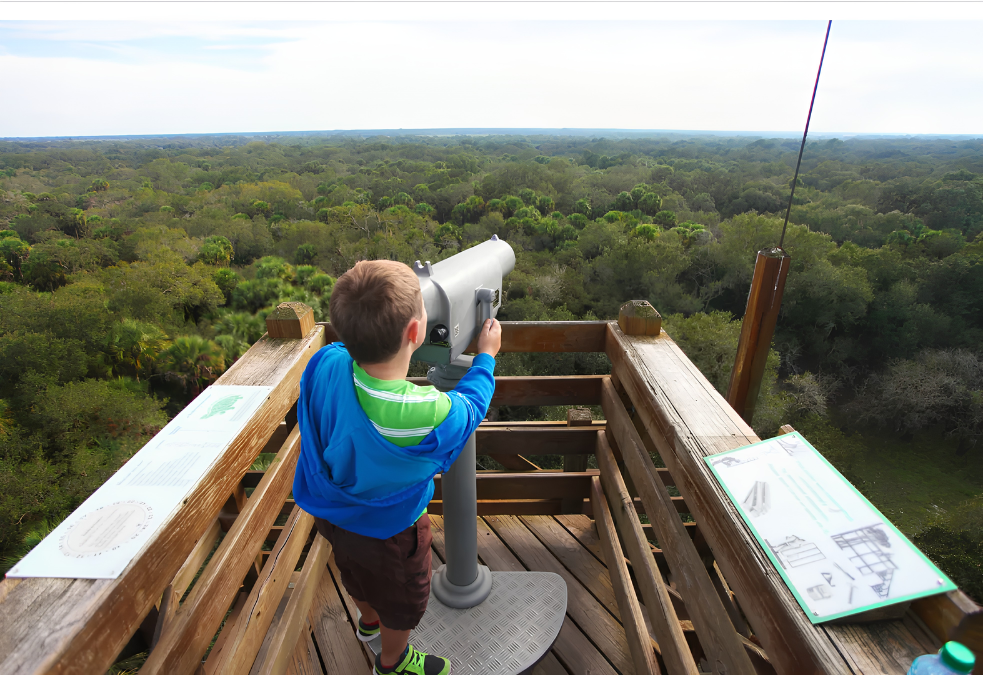 Child looking through a viewing scope from an observation tower overlooking the forest at Myakka River State Park in Sarasota, Florida.